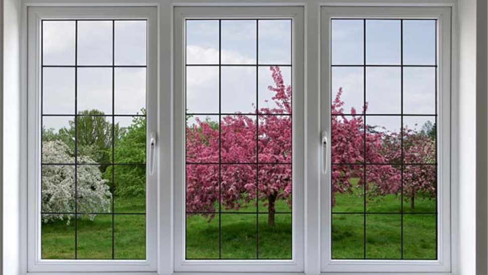edison replacement windows
